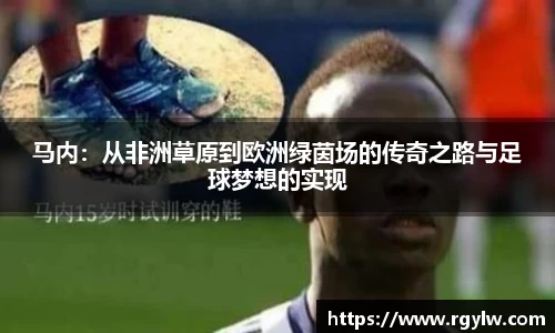完美体育